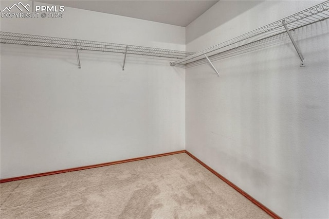 spacious closet with carpet flooring