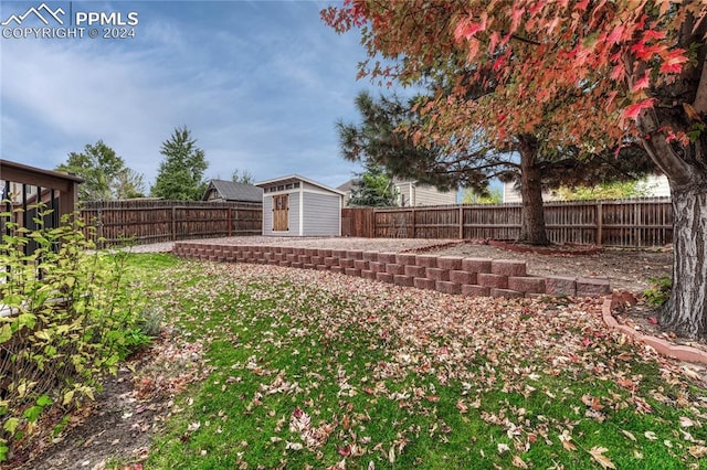 view of yard with a shed