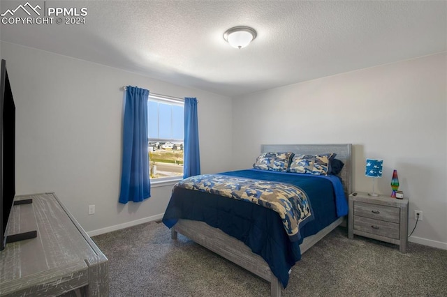 8032 Wheatland Dr, Colorado Springs, CO 80908 - carpeted bedroom with a textured ceiling and baseboards