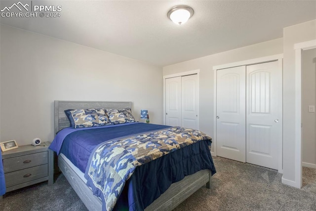 8032 Wheatland Dr, Colorado Springs, CO 80908 - bedroom featuring two closets, carpet flooring, and baseboards