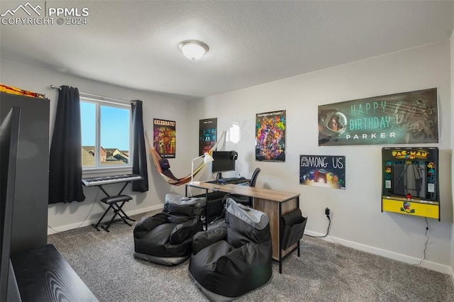 8032 Wheatland Dr, Colorado Springs, CO 80908 - carpeted office featuring a textured ceiling and baseboards