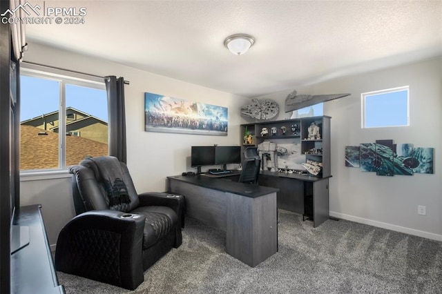 8032 Wheatland Dr, Colorado Springs, CO 80908 - office with carpet flooring and baseboards