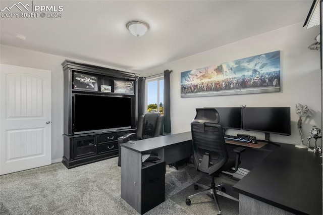 8032 Wheatland Dr, Colorado Springs, CO 80908 - view of carpeted office