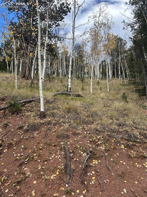 741 Pikes Peak Dr, Divide CO, 80814 land for sale