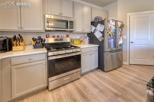 kitchen featuring light hardwood / wood-style flooring and stainless steel appliances