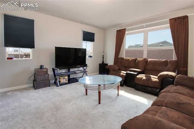 view of carpeted living room