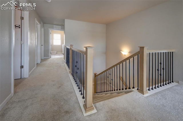 stairs with carpet floors