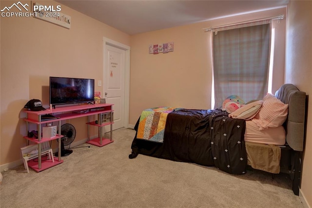 bedroom with carpet floors