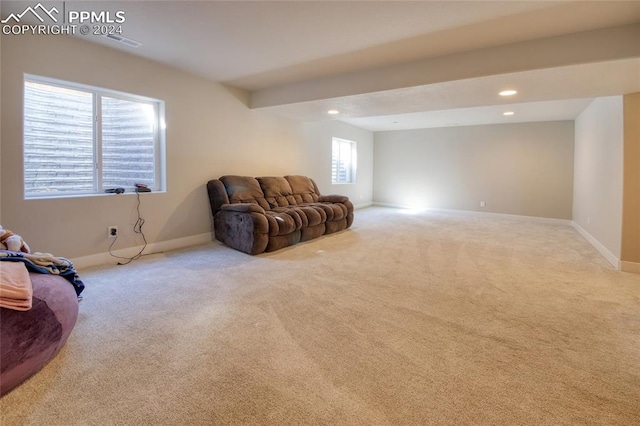 carpeted living room with a healthy amount of sunlight