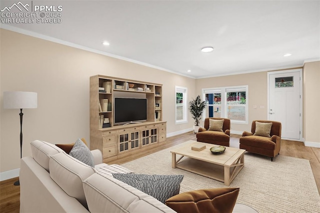 living room featuring wood-type flooring and crown molding