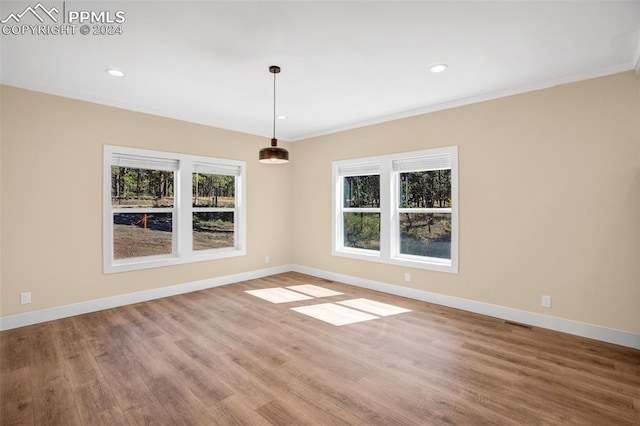 interior space featuring wood-type flooring