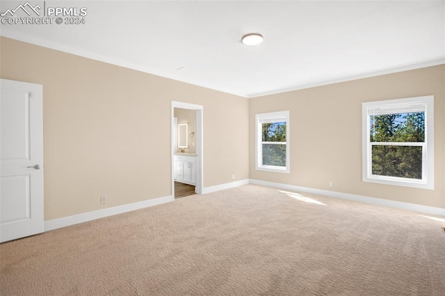 spare room featuring carpet floors and a wealth of natural light