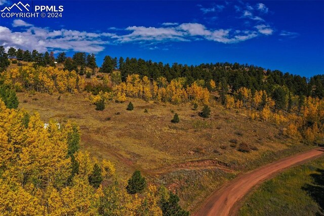 230 Penrose Cir, Cripple Creek, CO 80813