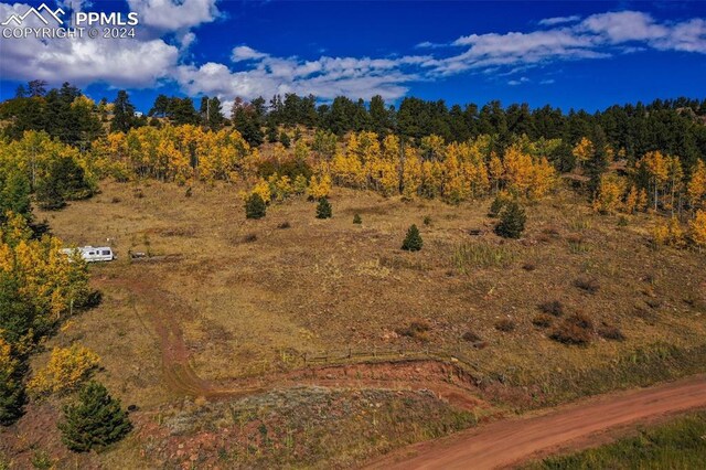 230 Penrose Cir, Cripple Creek, CO 80813