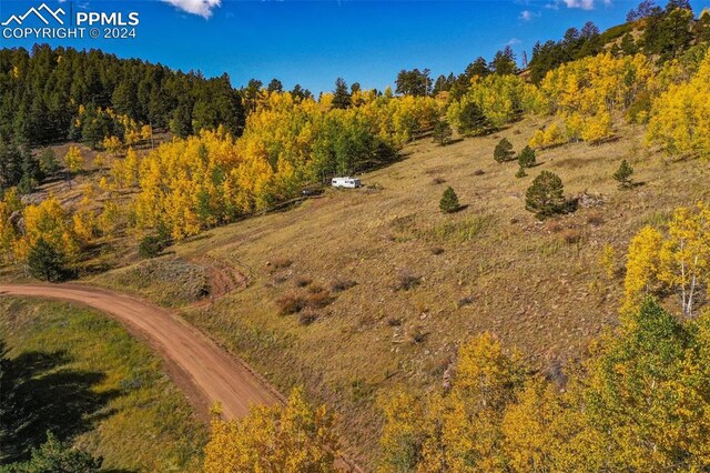 230 Penrose Cir, Cripple Creek, CO 80813