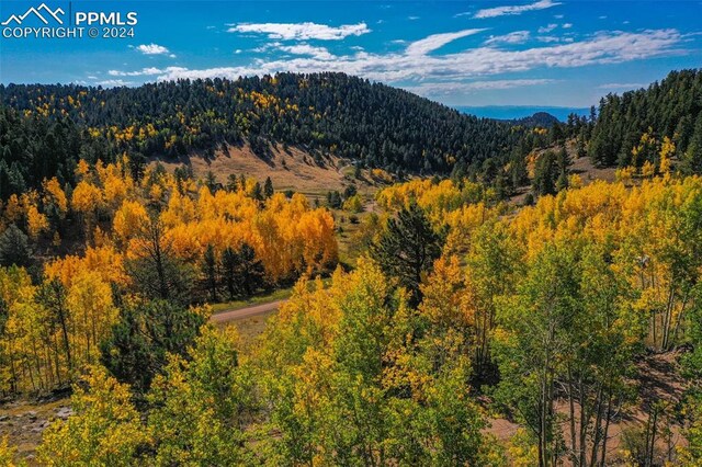 230 Penrose Cir, Cripple Creek, CO 80813