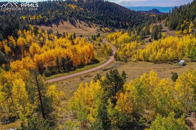 230 Penrose Cir, Cripple Creek, CO 80813