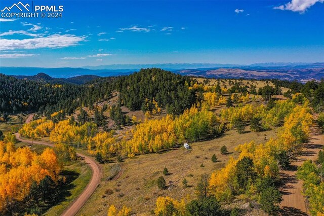 Listing photo 2 for 230 Penrose Cir, Cripple Creek CO 80813