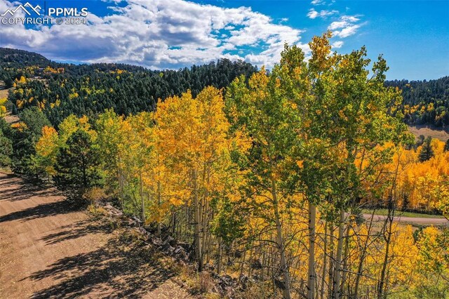 230 Penrose Cir, Cripple Creek, CO 80813
