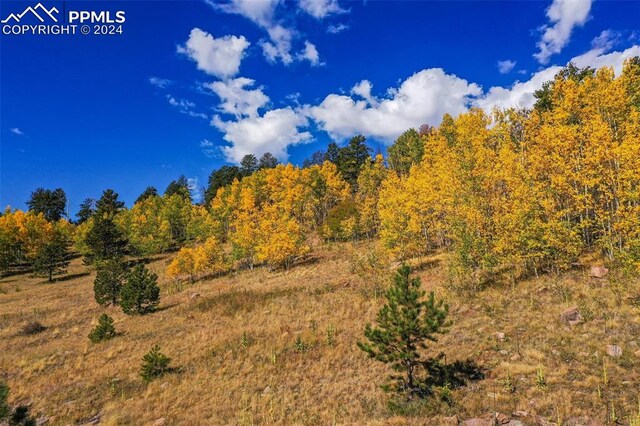 230 Penrose Cir, Cripple Creek, CO 80813