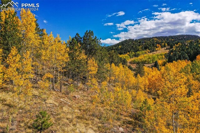 230 Penrose Cir, Cripple Creek, CO 80813