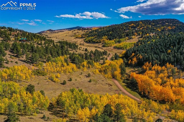 230 Penrose Cir, Cripple Creek, CO 80813