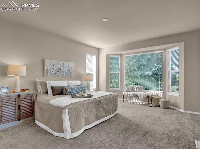 bedroom with multiple windows and carpet flooring