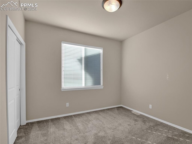 interior space featuring carpet floors and a closet