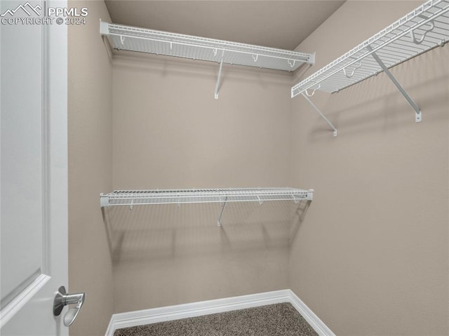 walk in closet with carpet flooring