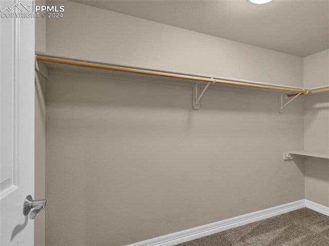 spacious closet featuring carpet flooring