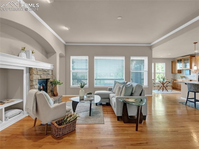 living room featuring ornamental molding, light hardwood / wood-style floors, and a fireplace