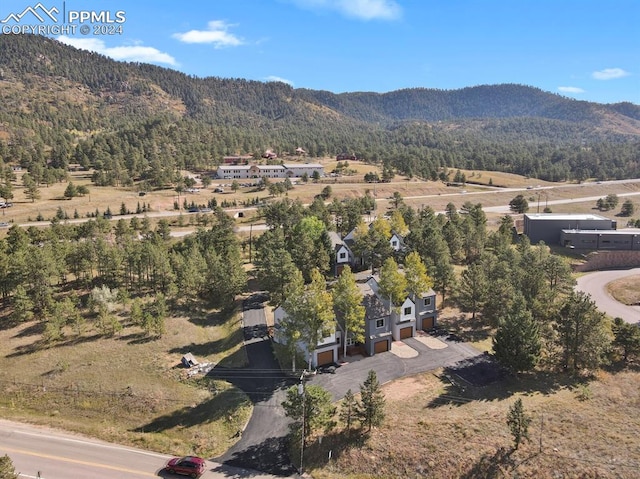 aerial view with a mountain view