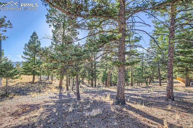 37 Amanda Cir, Florissant CO, 80816 land for sale