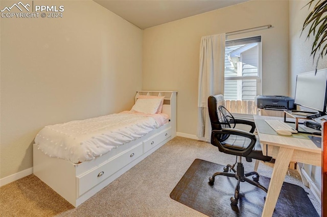 bedroom with light carpet