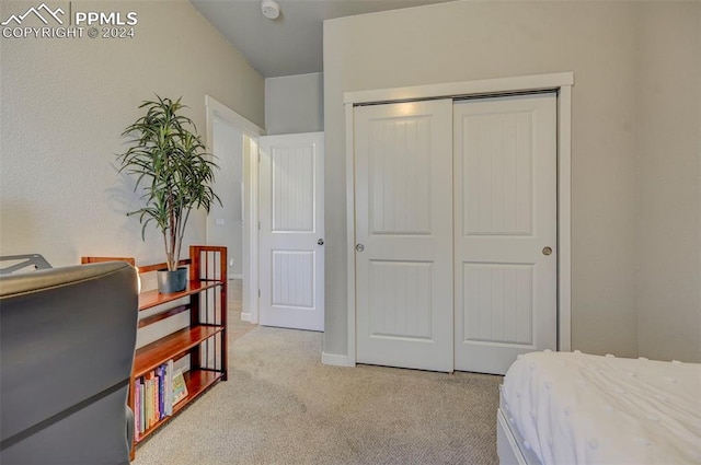 bedroom featuring a closet and light colored carpet