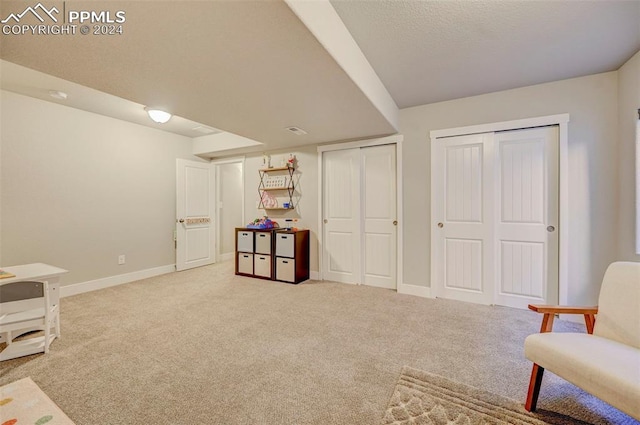 living area with light colored carpet