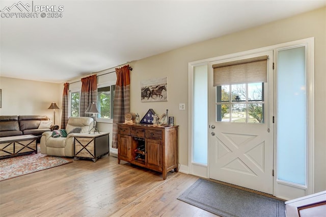 entrance foyer with light wood-type flooring and plenty of natural light