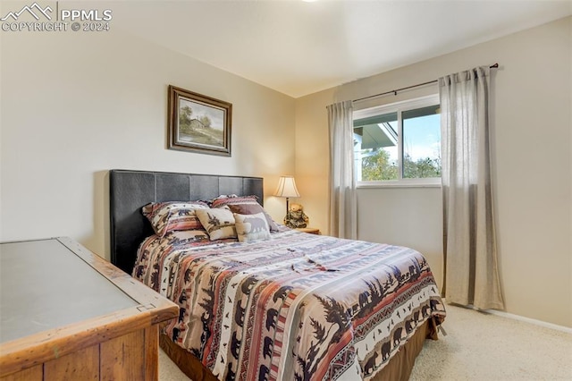 view of carpeted bedroom