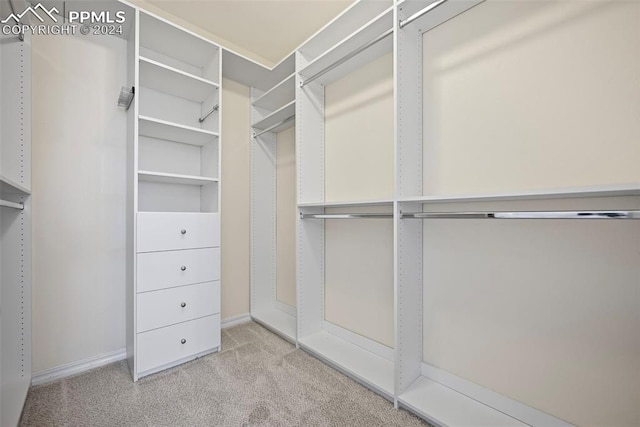 spacious closet featuring light carpet