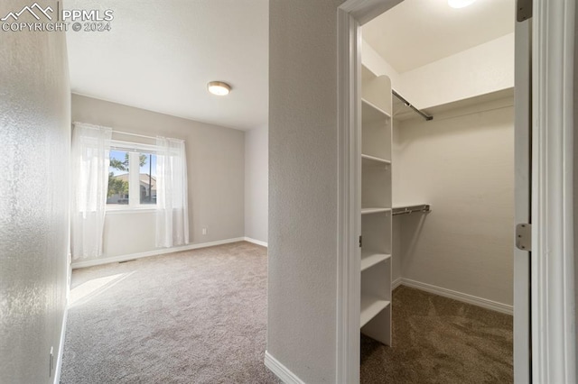 walk in closet featuring dark colored carpet