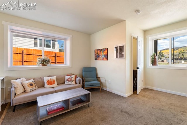 living room featuring carpet flooring