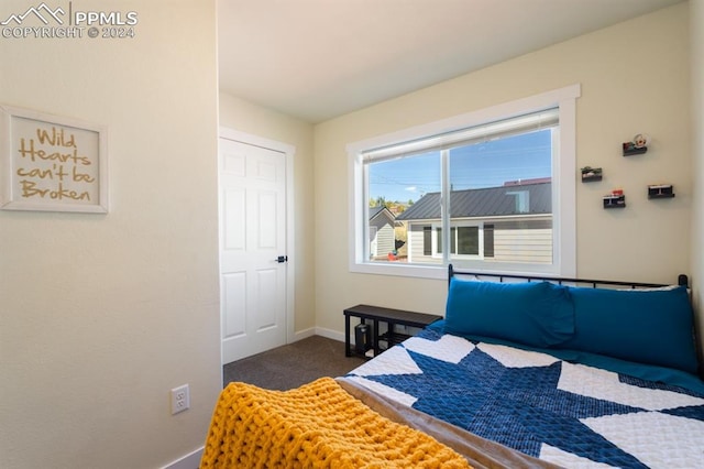 bedroom with dark carpet