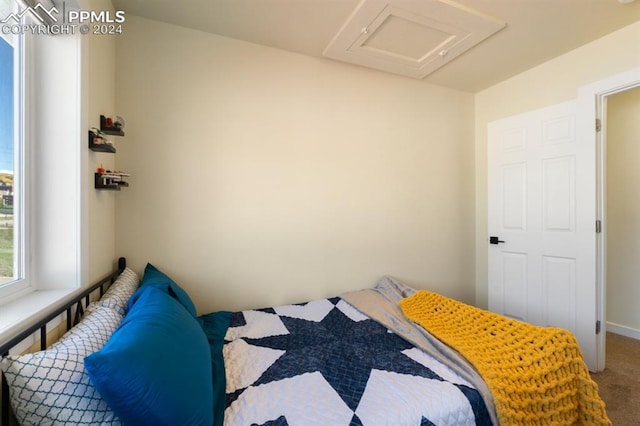 view of carpeted bedroom