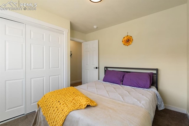 bedroom featuring a closet and carpet floors