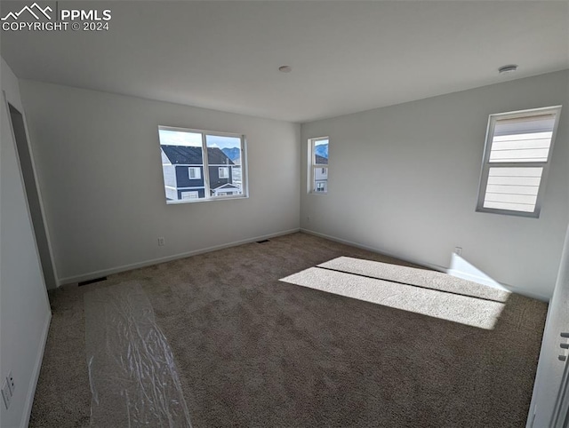 carpeted spare room with plenty of natural light