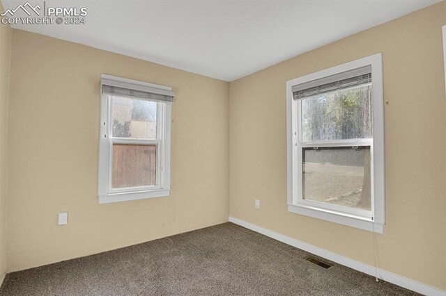 spare room with a wealth of natural light and carpet