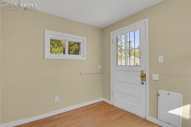 entryway with hardwood / wood-style flooring