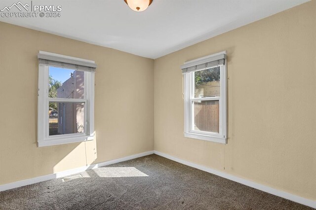 unfurnished room with carpet floors and a healthy amount of sunlight