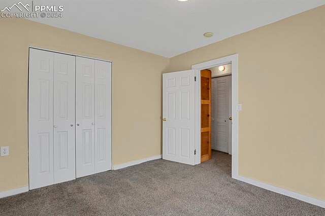 unfurnished bedroom with a closet and carpet