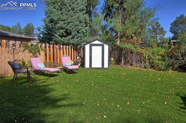 view of yard with a shed